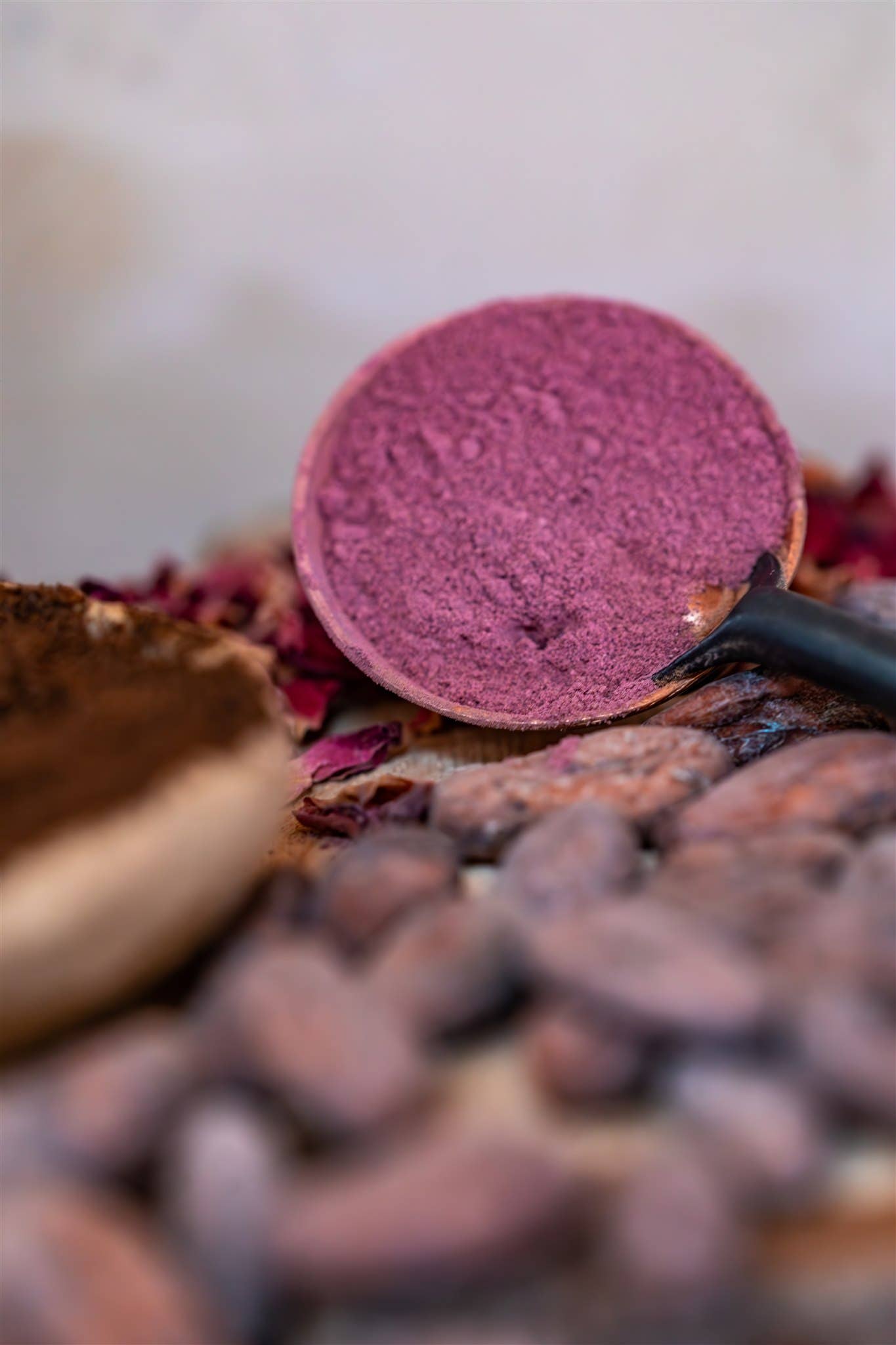 Rose Vanilla | Ground Ceremonial Cacao : 8 oz. Bag